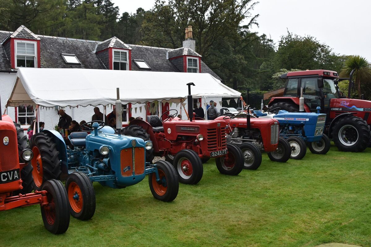A selection of some of the tractors that included modern, vintage, working and show machines. 