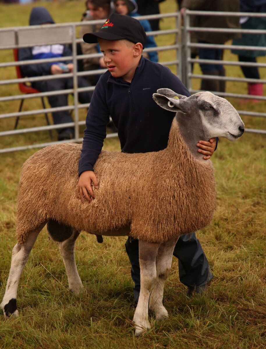 NO A33 Mid Argyll Show 07 26 young handler Pic Kevin McGlynnWEb NO A33 Mid Argyll Show 07 26 young handler Pic Kevin McGlynnWEb