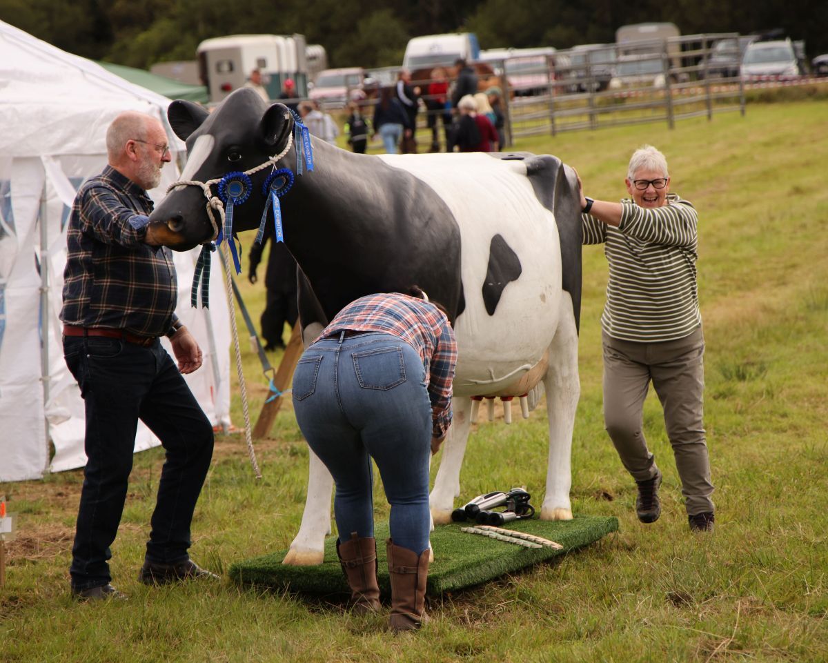 NO A33 Mid Argyll Show 11 26 RHET cow exhibit stuck anne patterson pushes Pic Kevin McGlynnWEB NO A33 Mid Argyll Show 11 26 RHET cow exhibit stuck anne patterson pushes Pic Kevin McGlynnWEB