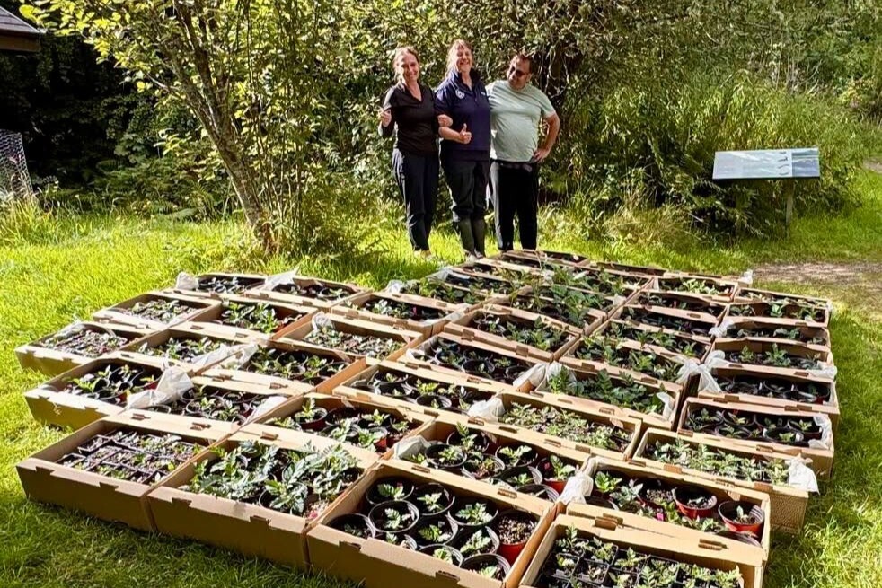 Ola and Marcin Kramarczyk of In Vitro Microplants with senior NTS ranger, Kate Sampson, and 500 of the world’s rarest plants. Photograph: NTS. Ola and Marcin Kramarczyk of In Vitro Microplants with senior NTS ranger, Kate Sampson, and 500 of the world’s rarest plants. Photograph: NTS.