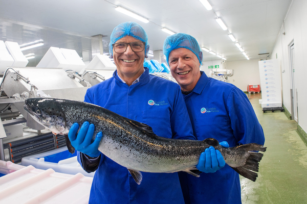 Salmon farming is a &lsquo;key anchor&rsquo; for rural and coastal communities, report finds
