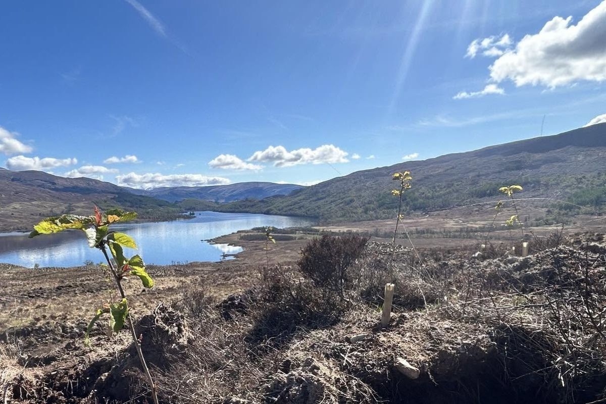 Funding boost for nature investment on West Lochaber estate
