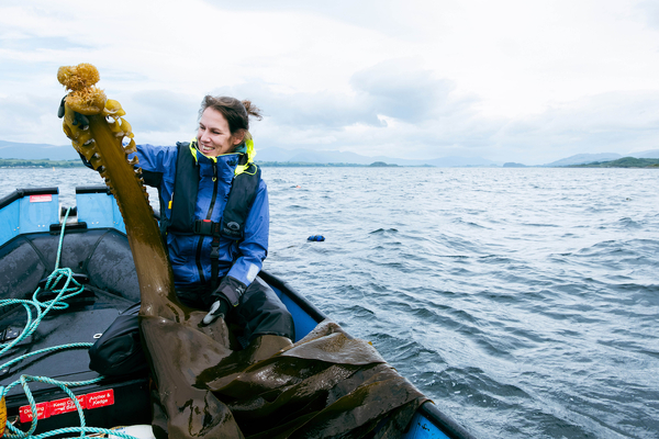 Seaweed: Listen to the people