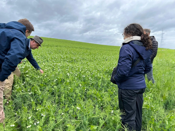 Multi X and BioMar collaborate on green agriculture project