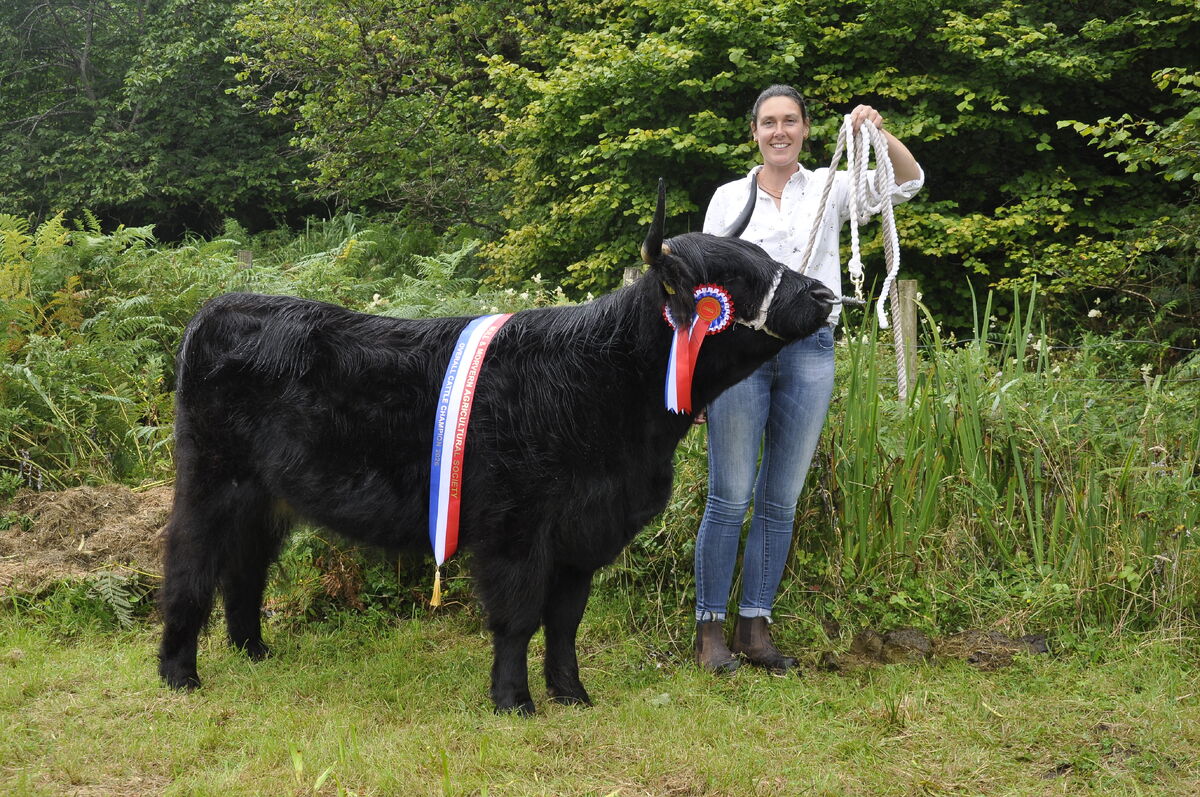 ow t34 Hannah Cobb of Aralanish with winning cow Maree Iolaire a 2 year old female highland heifer ow t34 Hannah Cobb of Aralanish with winning cow Maree Iolaire a 2 year old female highland heifer
