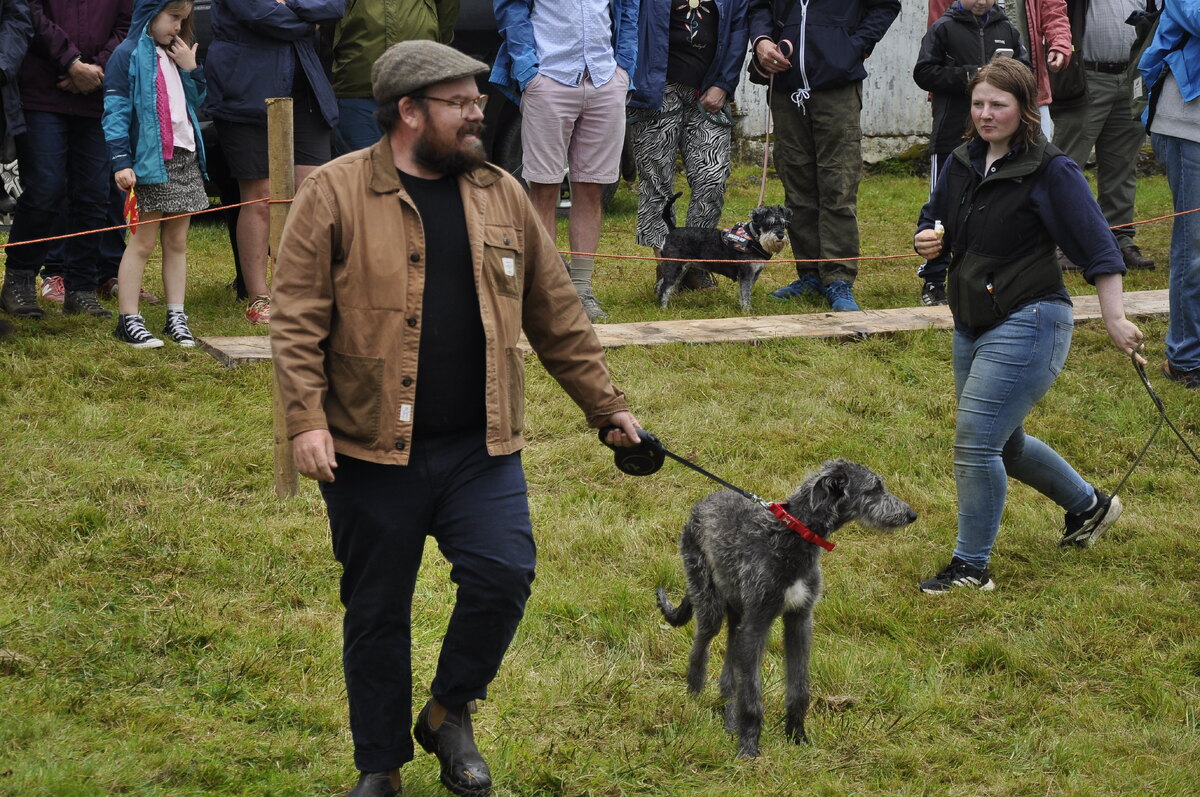 ow t34 banjo beale in dog show