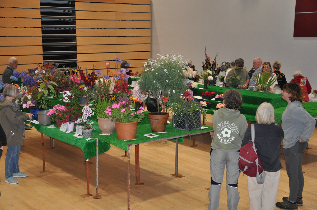 Visitors enjoy the exhibits in the flower and vegetable hall at the show.