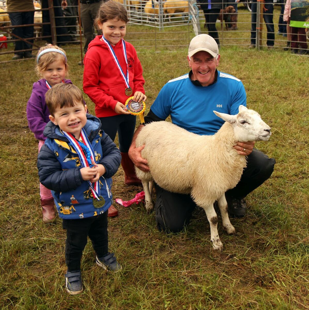 NO KM T34 pet lamb comp 26