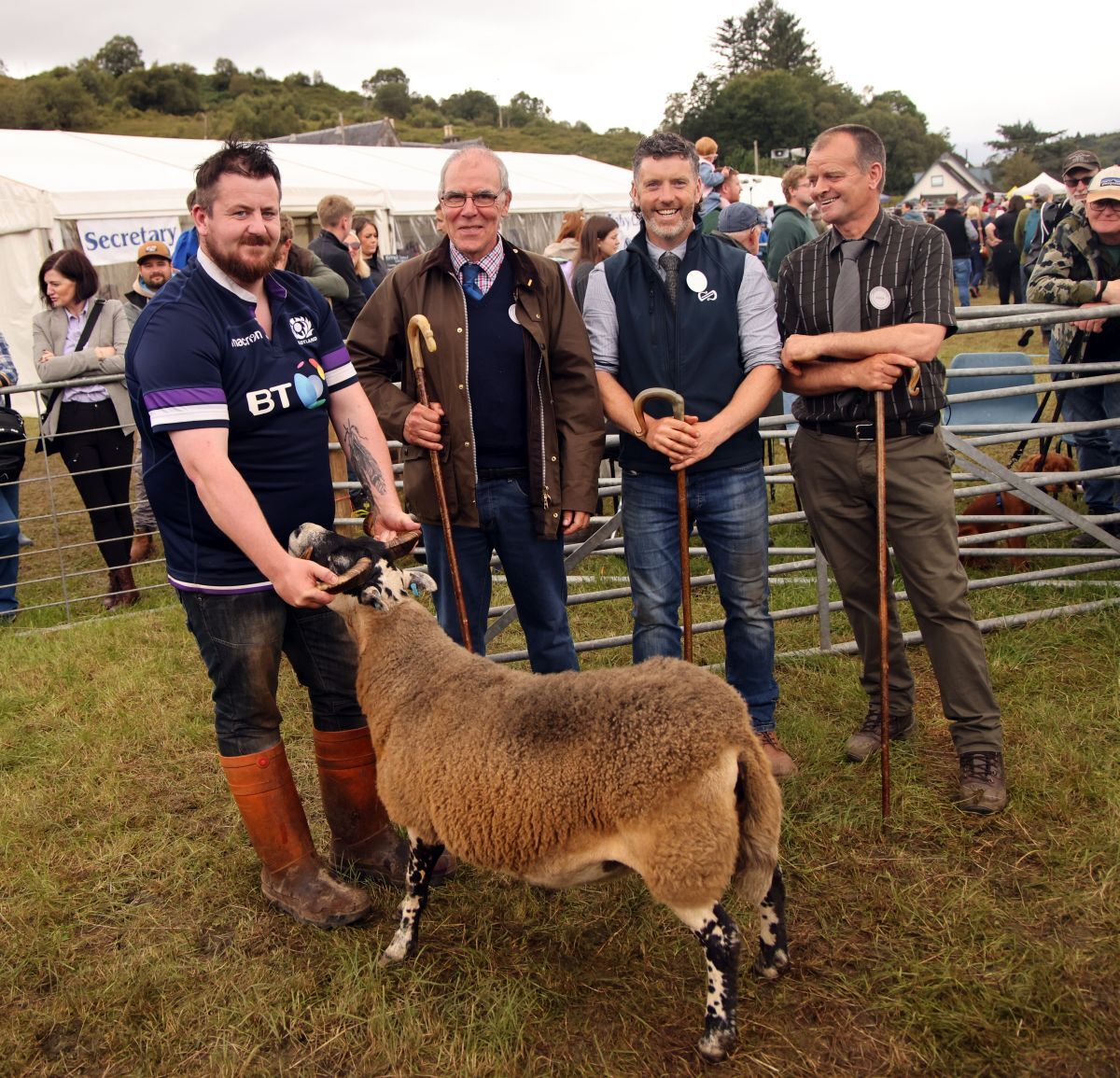 NO KM T34 sheep champ and judges 26