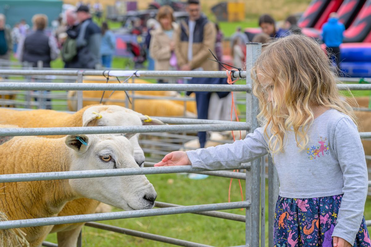 NO LT35 Lochaber Show01 26