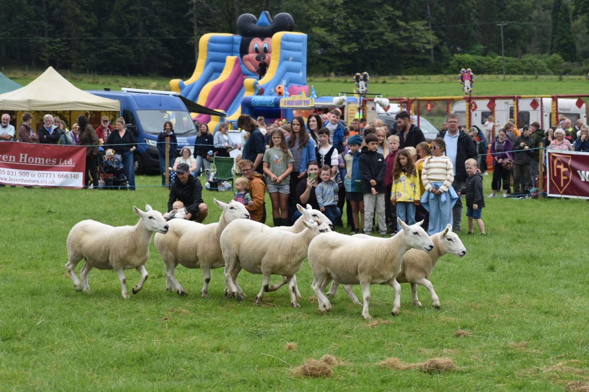 Farming celebration forecast as 127th Lochaber Agri Show gets ready to roll