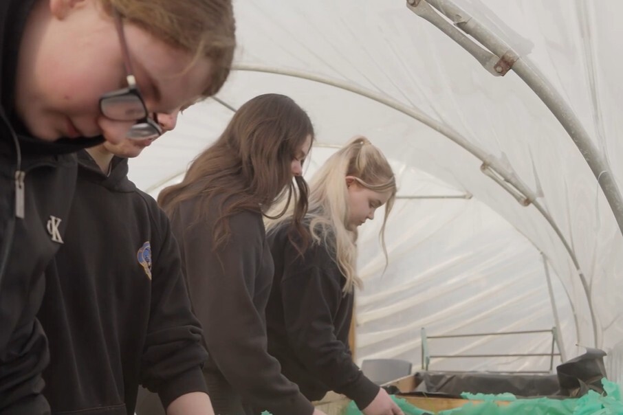 Kinlochleven pupils join pioneering research into nature and mental health