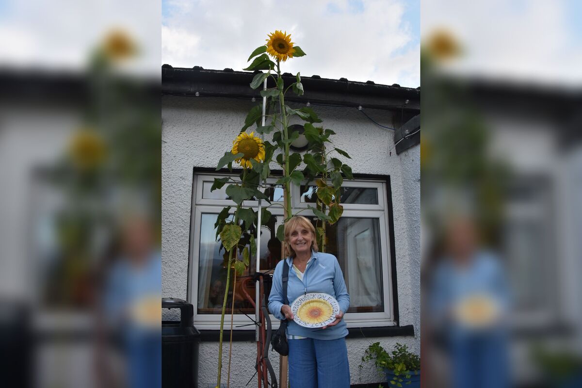 Moira Small with the Sunflower Plate and her 128 inch sunflower.