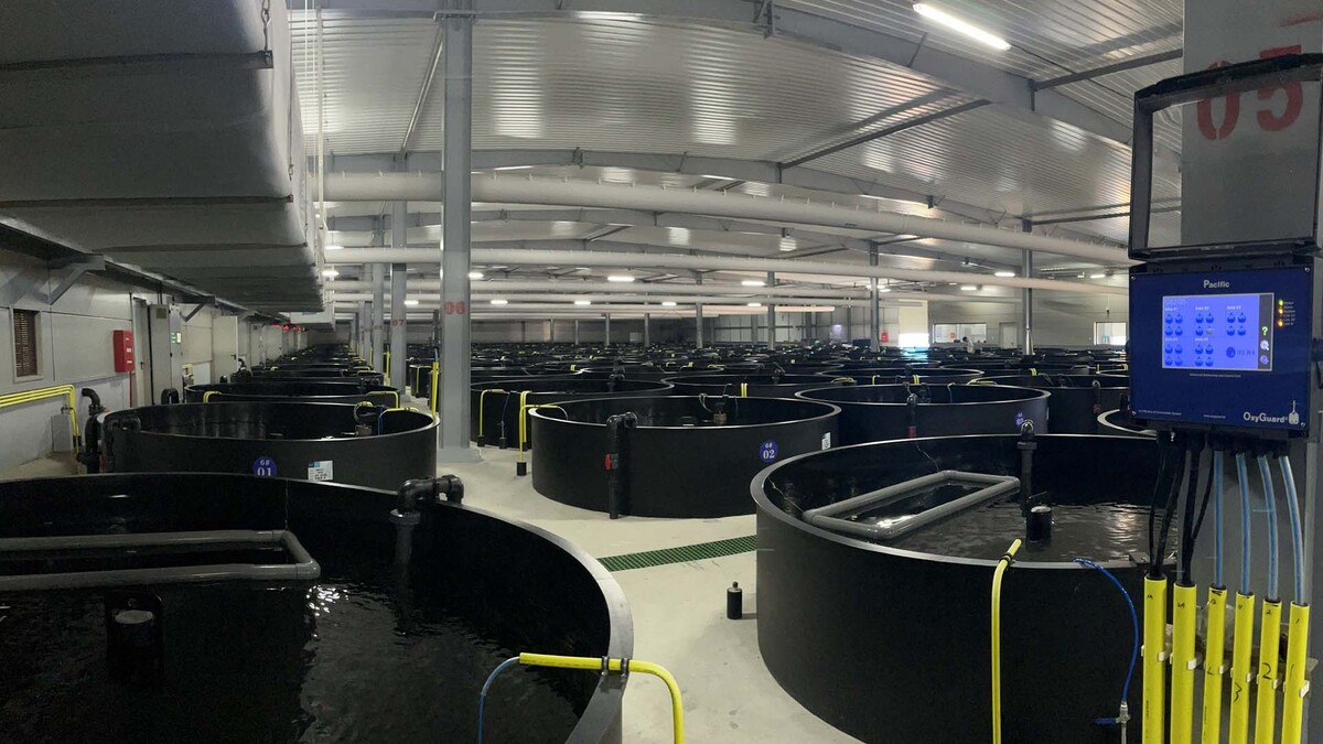 26.08 OxyGuard RAS facility 260828 26.08 OxyGuard RAS facility 260828