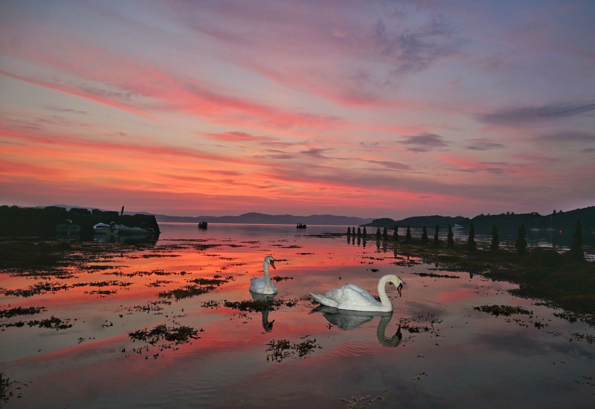 NO A35 picoftheweek 26 pic AlanFrew