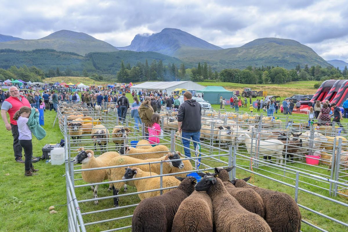 NO LT35 Lochaber Show09 26 NO LT35 Lochaber Show09 26