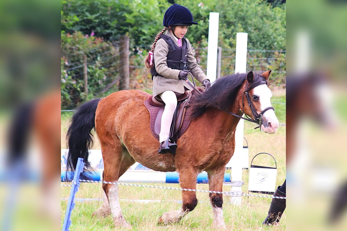 Arwen Gosman and Fred won the 30cm class. Photograph: David Henderson. 