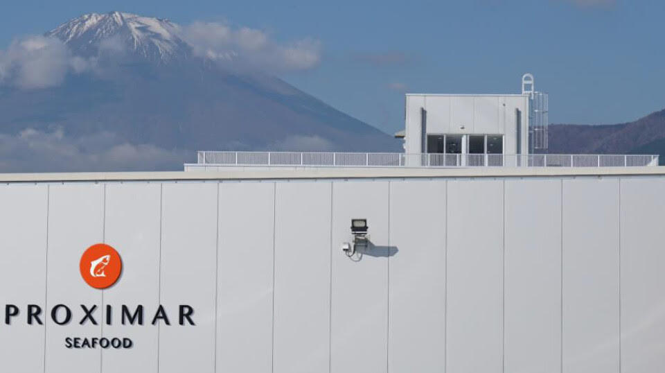 Proximar Seafood Mount Fuji scene aug 26 Vince