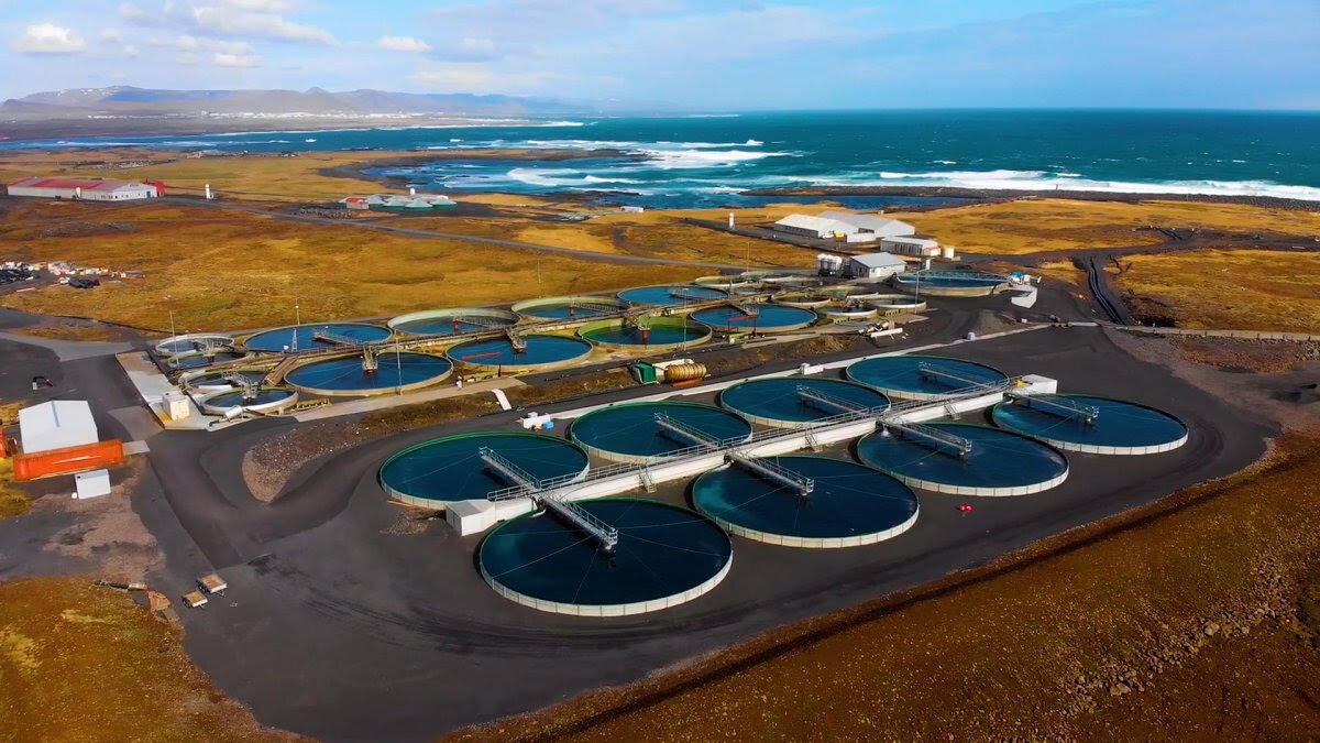Samherji Iceland fish farm scene aug 26 Vince Samherji Iceland fish farm scene aug 26 Vince