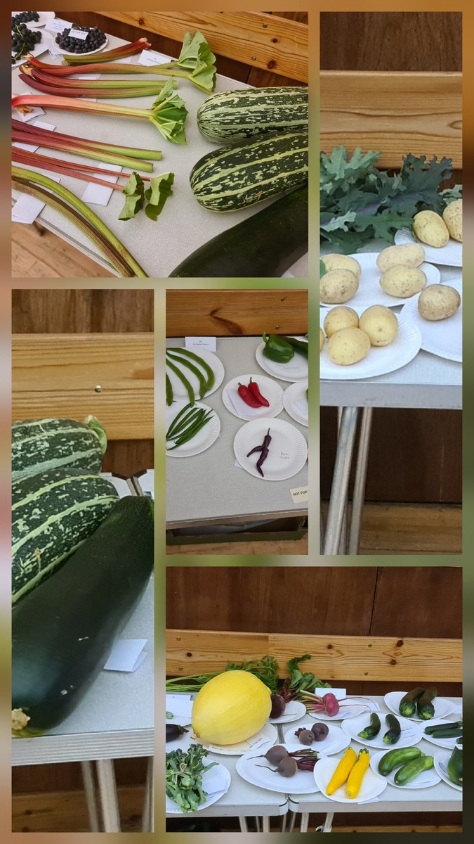 no t36 a selection of show vegetables