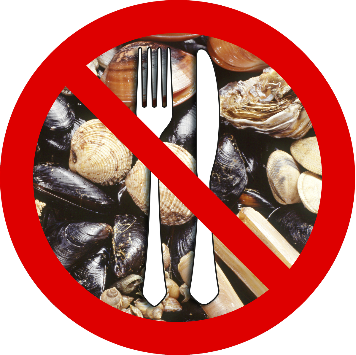 Why are toxic shellfish in Lochaber becoming more common?