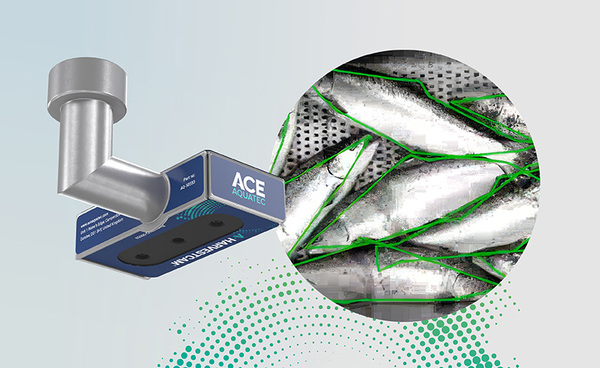 Ace Aquatec&rsquo;s latest offering applies AI to harvesting