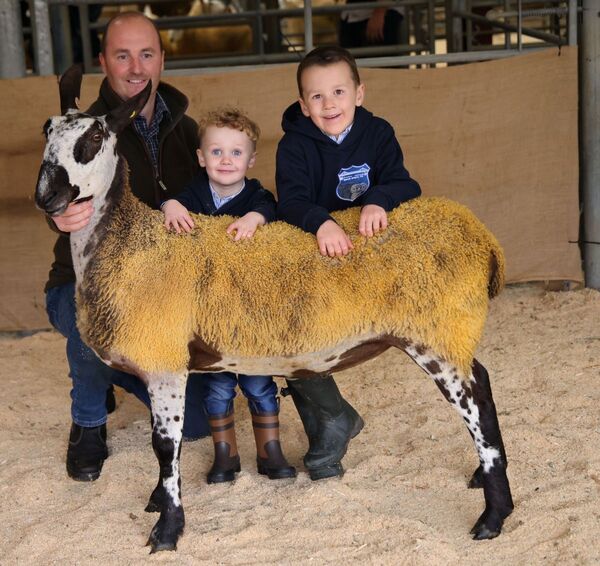 Dalmally Show brings community together