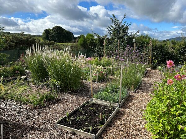 The joy of growing your own food
