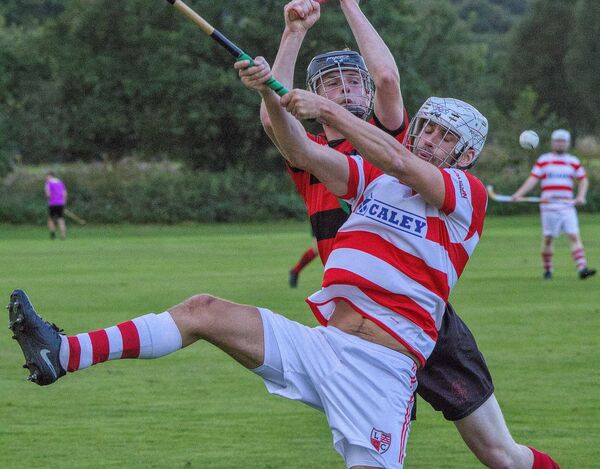 The South Shinty Round Up - Saturday September 5