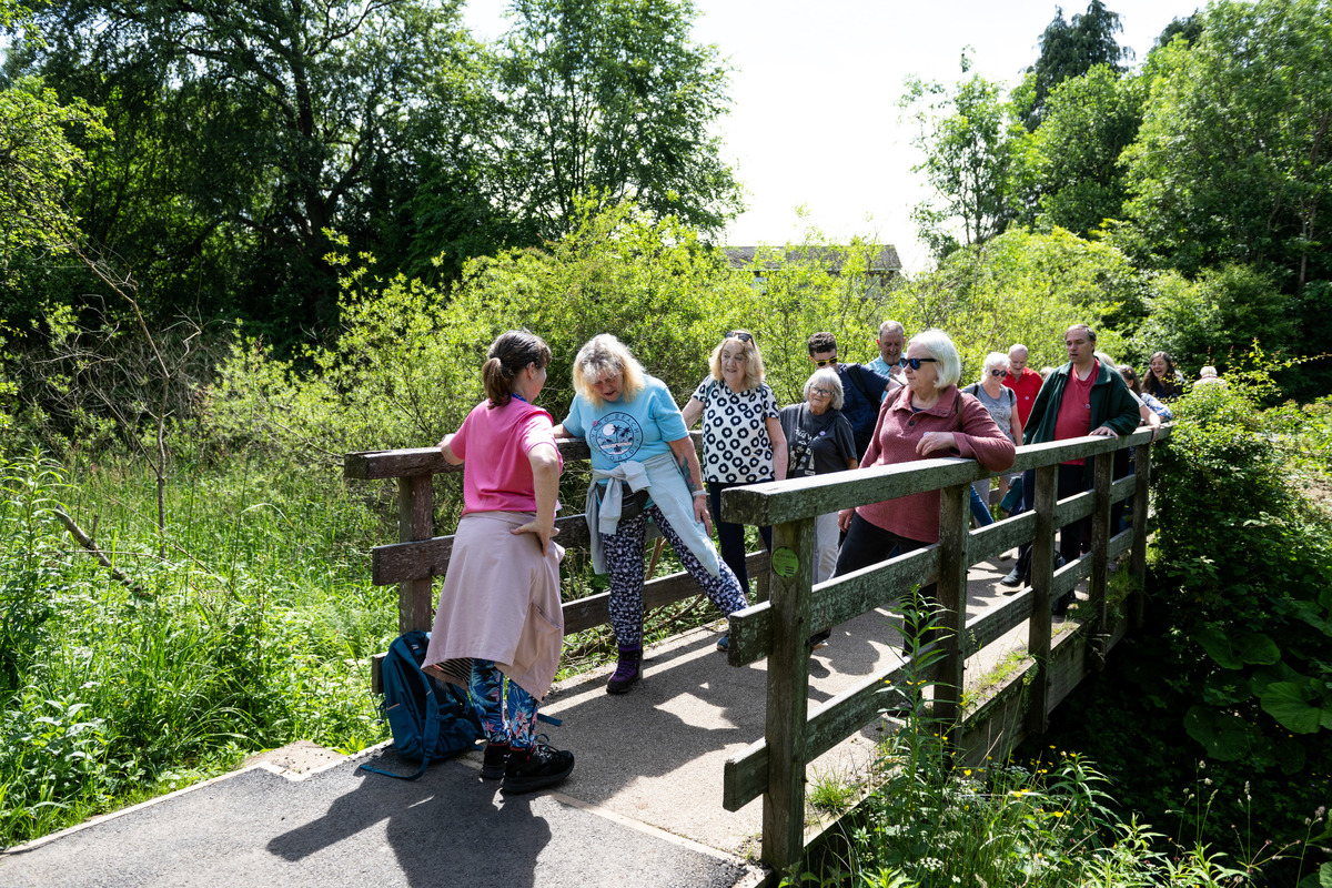 NO T37 Walking network grant 01