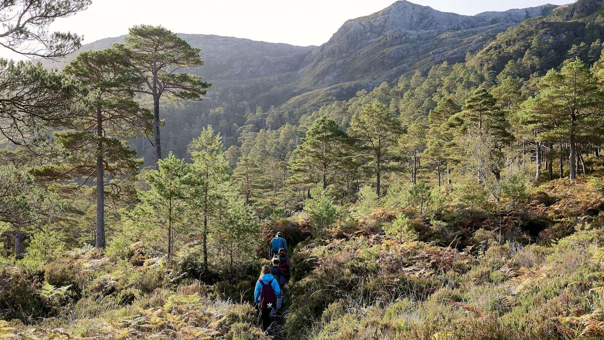 NatureScot reminds hill walkers of deer stalking season
