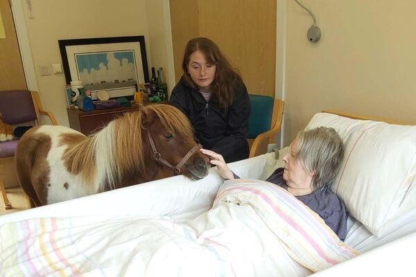 Short and sweet: Tiny Tiggy visits Montrose House residents