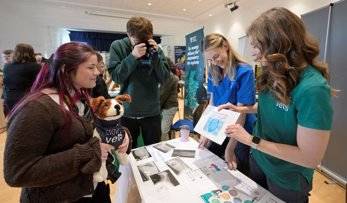 WEB NO F37 Developing the Young Workforce Jobs Fair 26 Crown Vets IF DYW