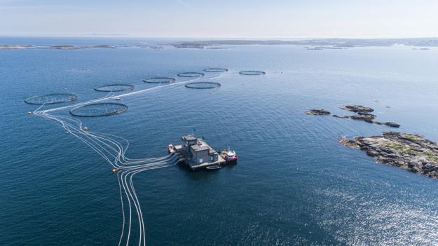 Lerøy planning to raise £60m in green bonds