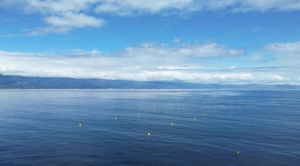 Final hurdle cleared for large kelp farm off California coast