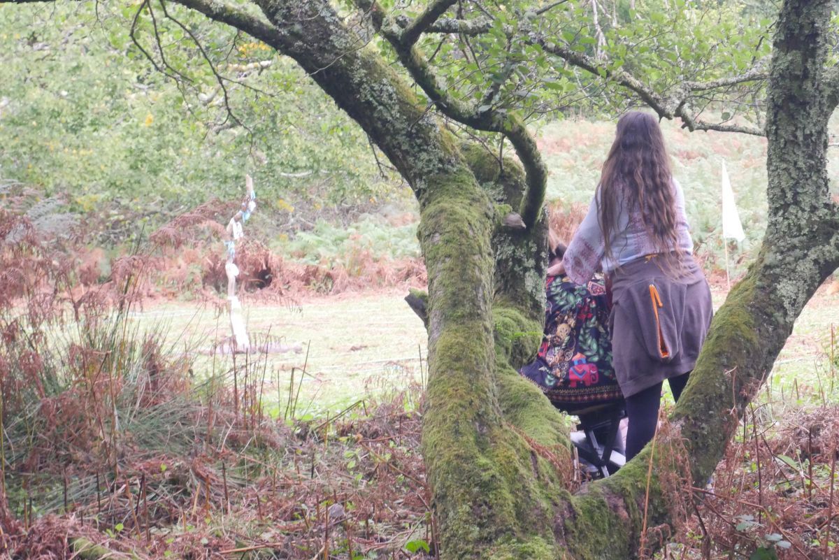 Woodland wellbeing day offers a different path to recovery