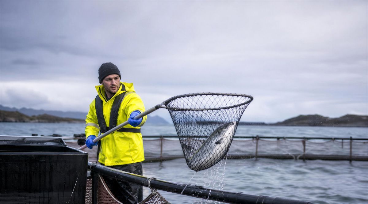 Careers in Aquaculture: A wealth of possibilities