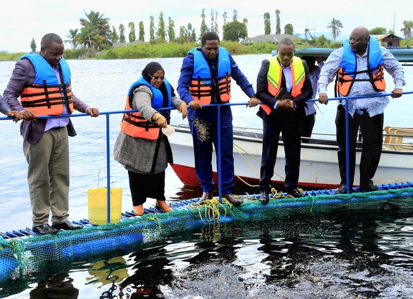 Tanzania: Aquaculture at the gateway to Africa&rsquo;s blue transformation