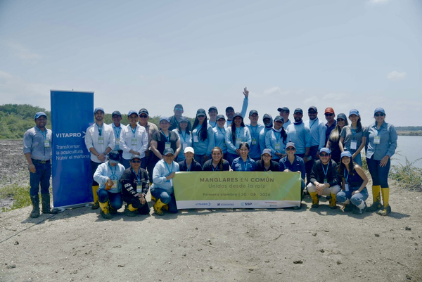 Shrimp farmers commit to mangrove restoration