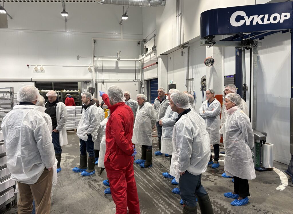 https://d2zr548cf6pkkj.cloudfront.net/AcuCustom/Sitename/DAM/450/Irish_Seafood_processors_in_Norway_Main.jpg