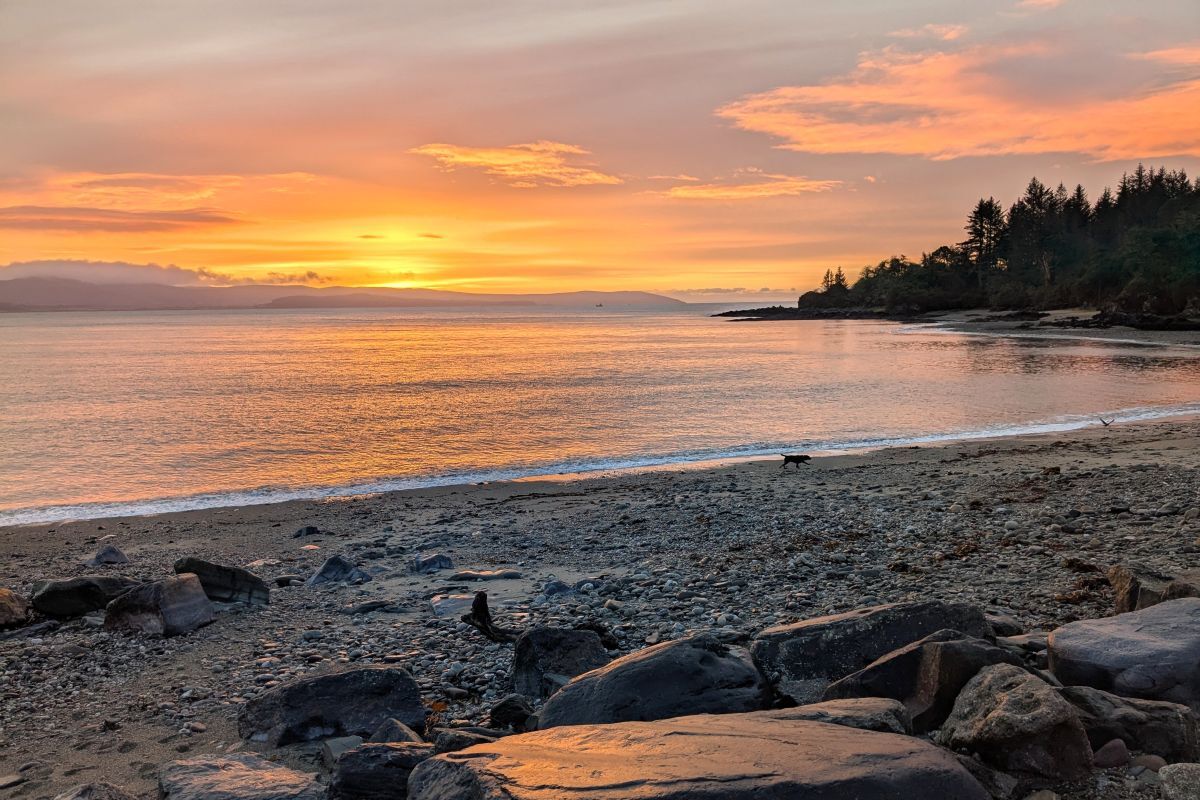 News - Plans submitted for beach sauna at Torrisdale